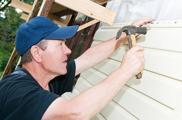 Best Siding for Commercial Buildings  in Hurley, MS